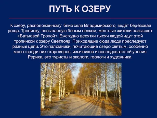 ПУТЬ К ОЗЕРУ К озеру, расположенному близ села Владимирского, ведёт берёзовая роща.