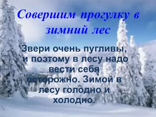 Совершим прогулку в зимний лес Звери очень пугливы, и поэтому в лесу