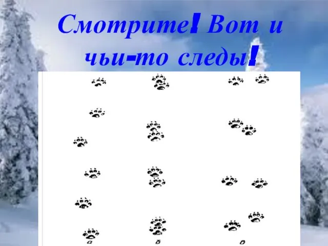 Смотрите! Вот и чьи-то следы!