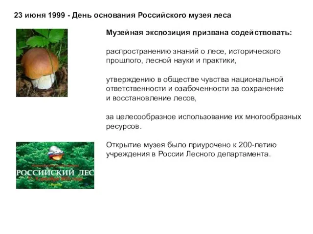 23 июня 1999 - День основания Российского музея леса Музейная экспозиция призвана