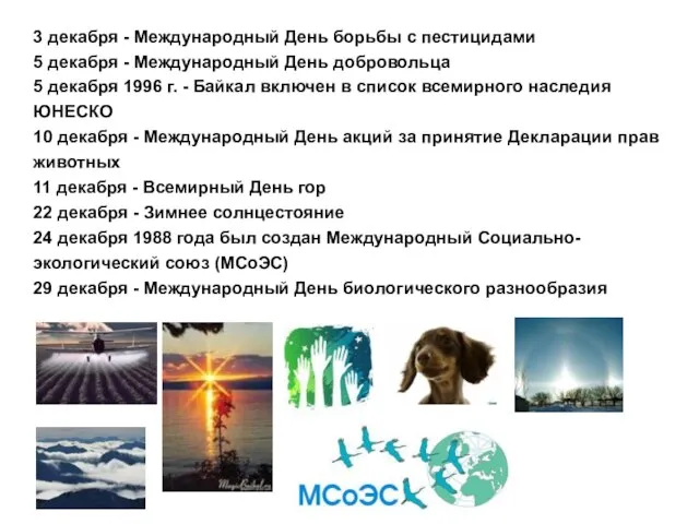 3 декабря - Международный День борьбы с пестицидами 5 декабря - Международный