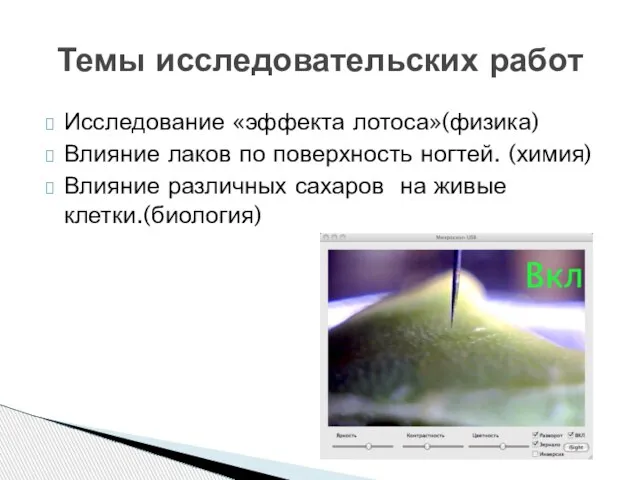 Темы исследовательских работ Исследование «эффекта лотоса»(физика) Влияние лаков по поверхность ногтей. (химия)