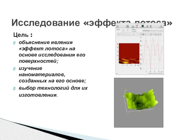 Исследование «эффекта лотоса» Цель : объяснение явления «эффект лотоса» на основе исследования