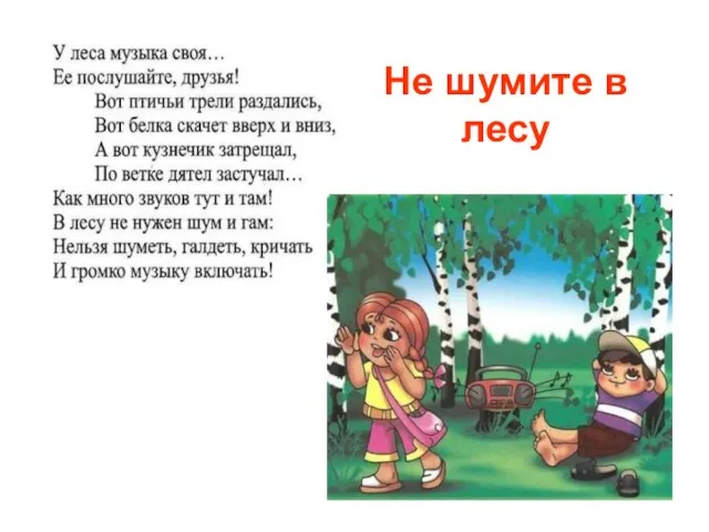 Не шумите в лесу