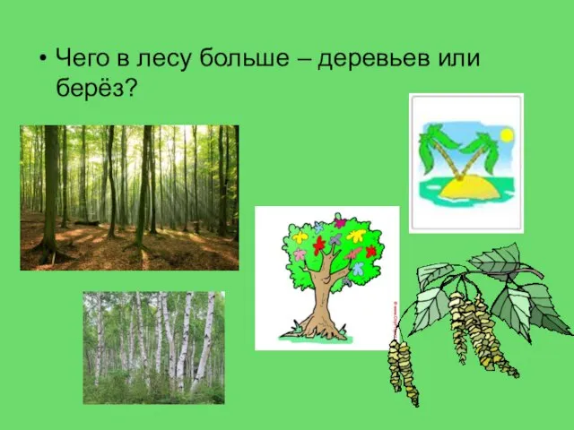 Чего в лесу больше – деревьев или берёз?