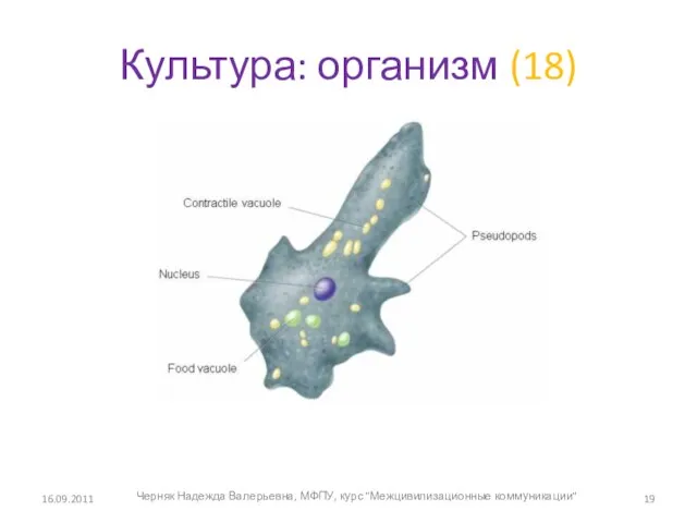 Культура: организм (18) 16.09.2011 Черняк Надежда Валерьевна, МФПУ, курс "Межцивилизационные коммуникации"