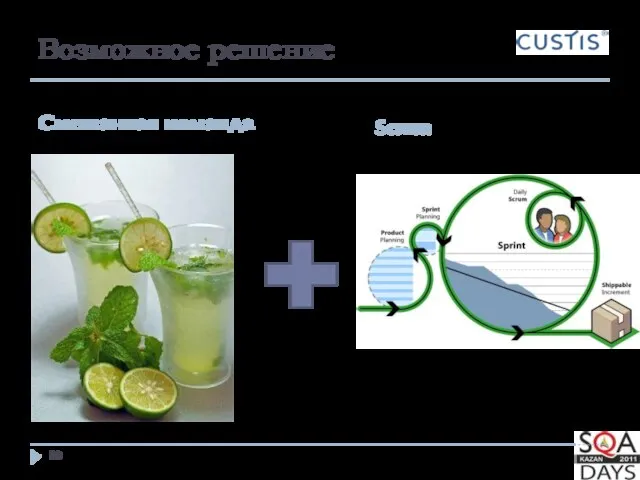 Возможное решение Смешанная команда Scrum