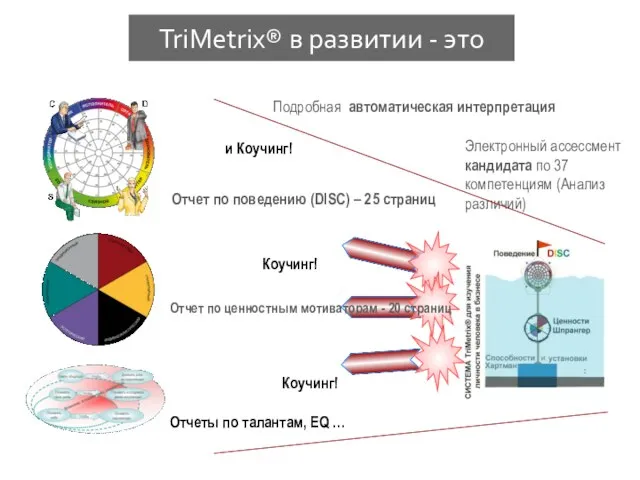 TriMetrix® в развитии - это Отчет по поведению (DISC) – 25 страниц