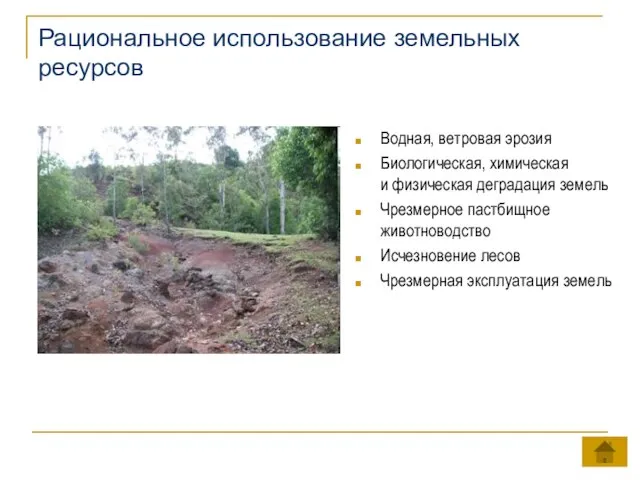 Рациональное использование земельных ресурсов Водная, ветровая эрозия Биологическая, химическая и физическая деградация