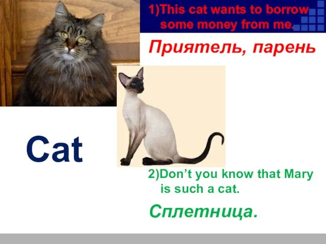 Cat 1)This cat wants to borrow some money from me. Приятель, парень