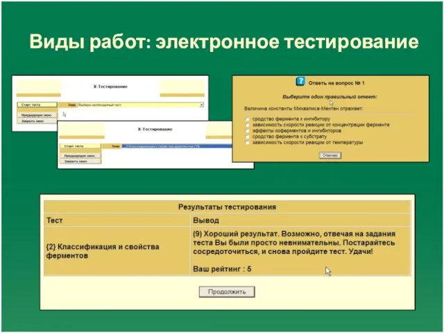 Виды работ: электронное тестирование