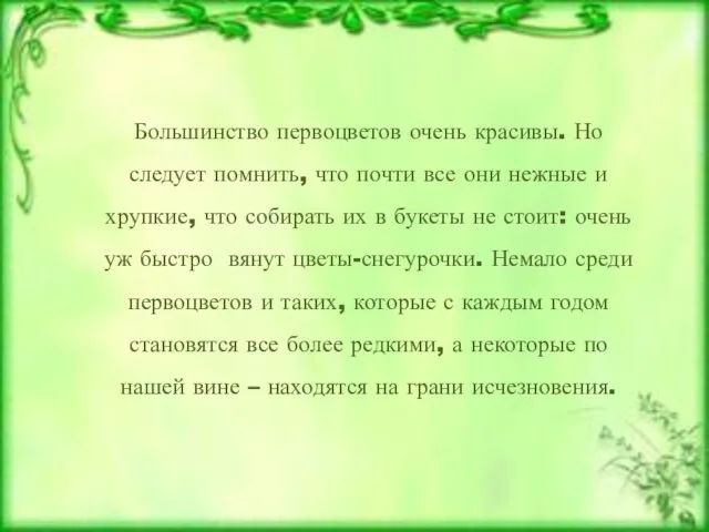 Тюльпан двуцветный Большинство первоцветов очень красивы. Но следует помнить, что почти все