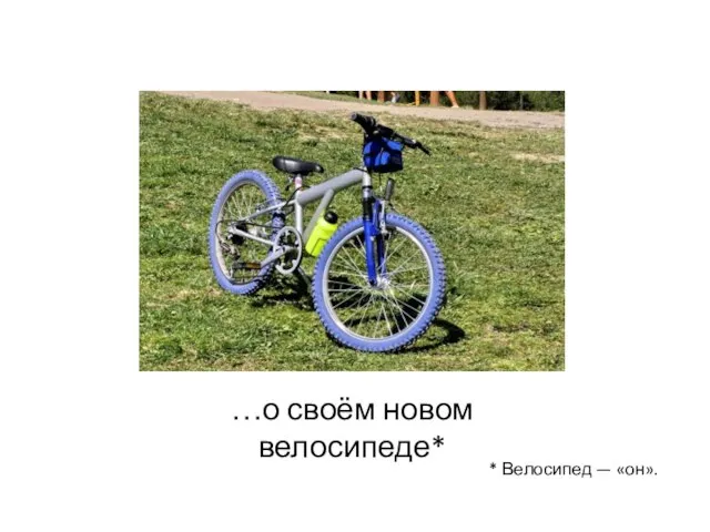 …о своём новом велосипеде* * Велосипед — «он».