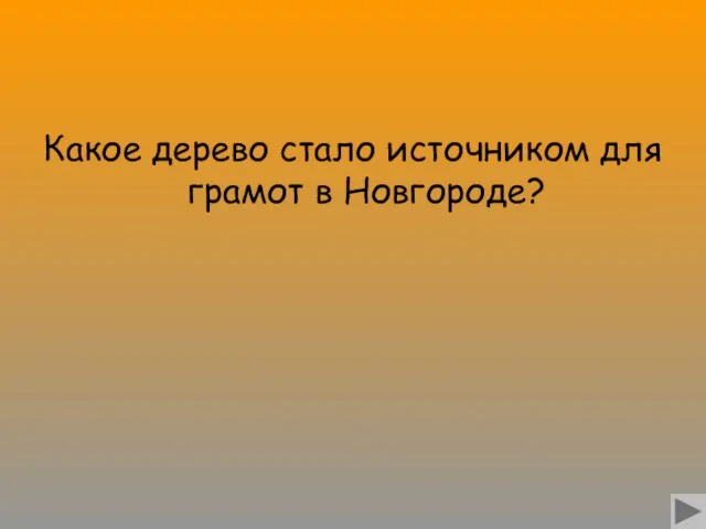 Какое дерево стало источником для грамот в Новгороде?