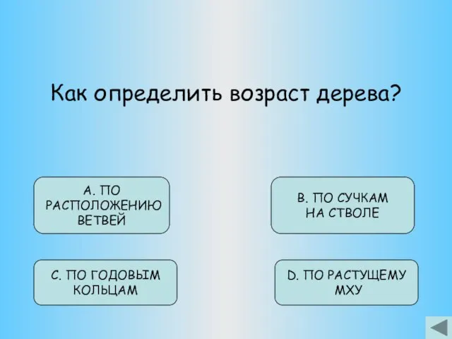 Как определить возраст дерева? D. ПО РАСТУЩЕМУ МХУ В. ПО СУЧКАМ НА