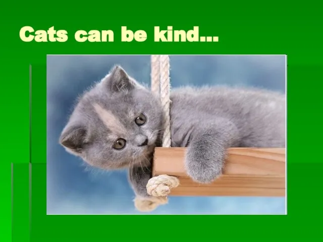 Cats can be kind…