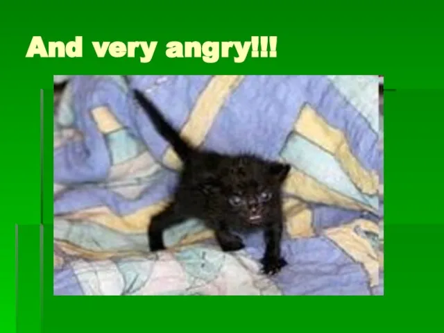 And very angry!!!