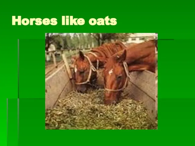 Horses like oats