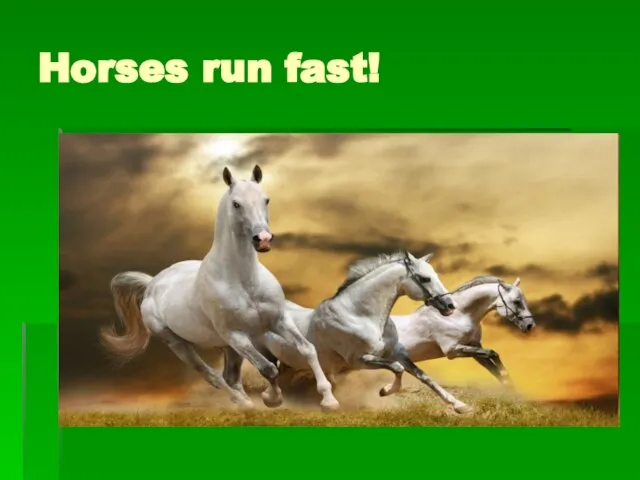 Horses run fast!