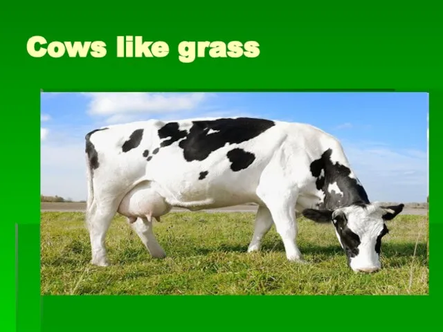Cows like grass