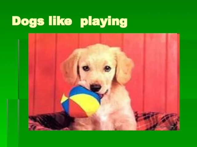 Dogs like playing