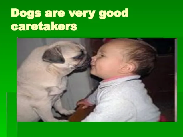 Dogs are very good caretakers