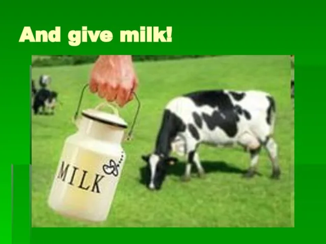 And give milk!