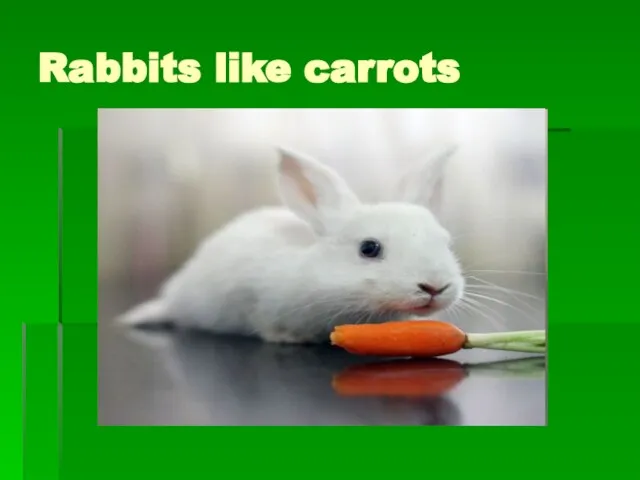 Rabbits like carrots