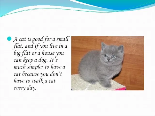 A cat is good for a small flat, and if you live