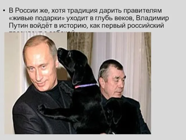 В России же, хотя традиция дарить правителям «живые подарки» уходит в глубь