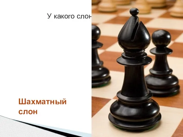 У какого слона нет хобота? Шахматный слон