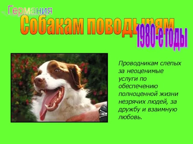 Собакам поводырям 1980-е годы Проводникам слепых за неоценимые услуги по обеспечению полноценной