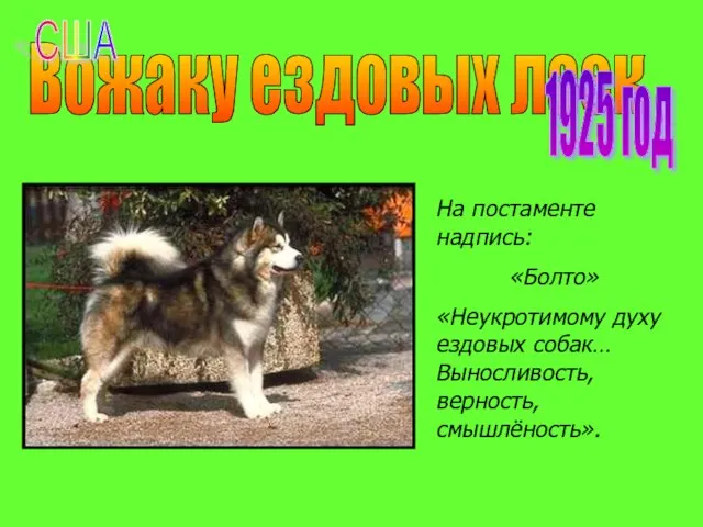 Вожаку ездовых лаек 1925 год На постаменте надпись: «Болто» «Неукротимому духу ездовых