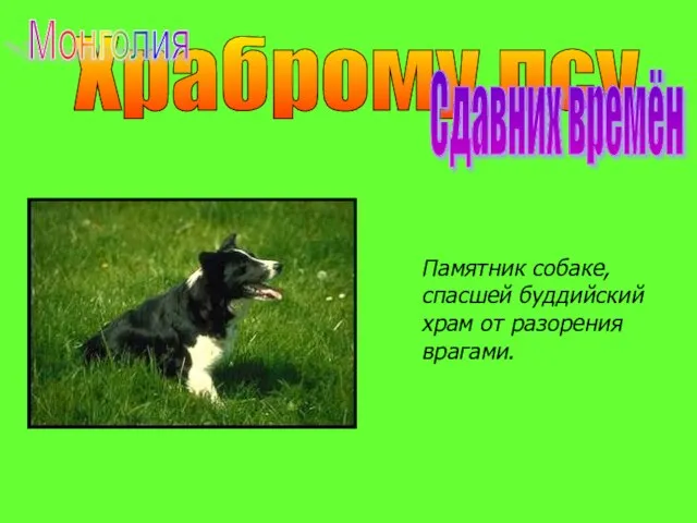 Храброму псу Сдавних времён Памятник собаке, спасшей буддийский храм от разорения врагами. Монголия