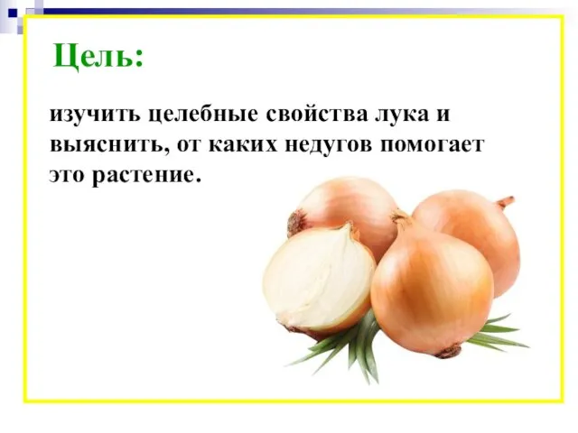 Цель: изучить целебные свойства лука и выяснить, от каких недугов помогает это растение.