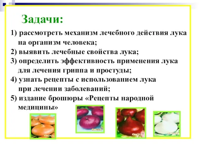 Задачи: 1) рассмотреть механизм лечебного действия лука на организм человека; 2) выявить