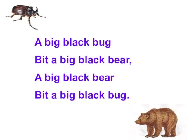 A big black bug Bit a big black bear, A big black
