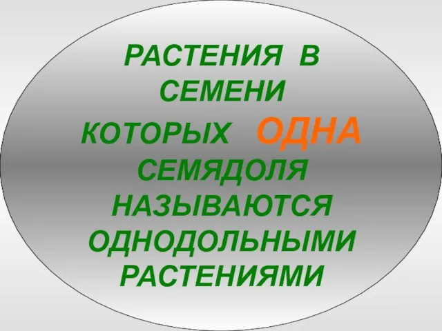 РАСТЕНИЯ В СЕМЕНИ КОТОРЫХ ОДНА СЕМЯДОЛЯ НАЗЫВАЮТСЯ ОДНОДОЛЬНЫМИ РАСТЕНИЯМИ