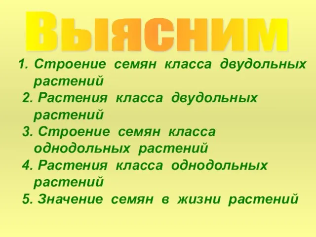 Выясним Строение семян класса двудольных растений 2. Растения класса двудольных растений 3.