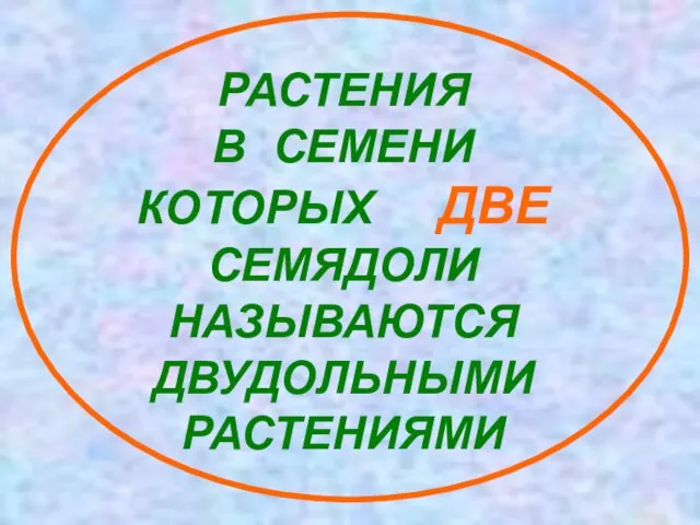 РАСТЕНИЯ В СЕМЕНИ КОТОРЫХ ДВЕ СЕМЯДОЛИ НАЗЫВАЮТСЯ ДВУДОЛЬНЫМИ РАСТЕНИЯМИ