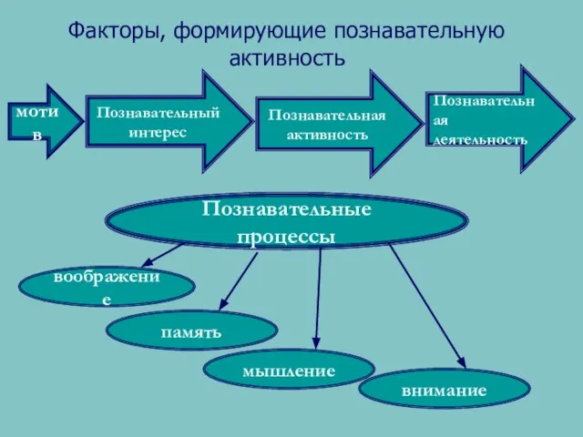 Факторы, формирующие познавательную активность Познавательная деятельность мотив Познавательный интерес Познавательная активность Познавательные