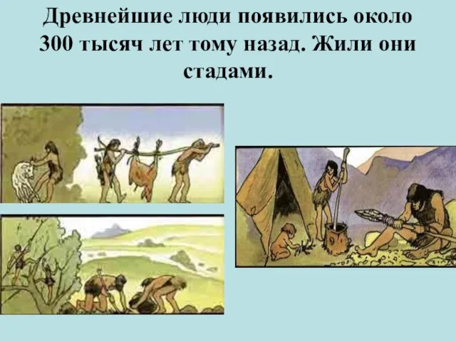 Древнейшие люди появились около 300 тысяч лет тому назад. Жили они стадами.