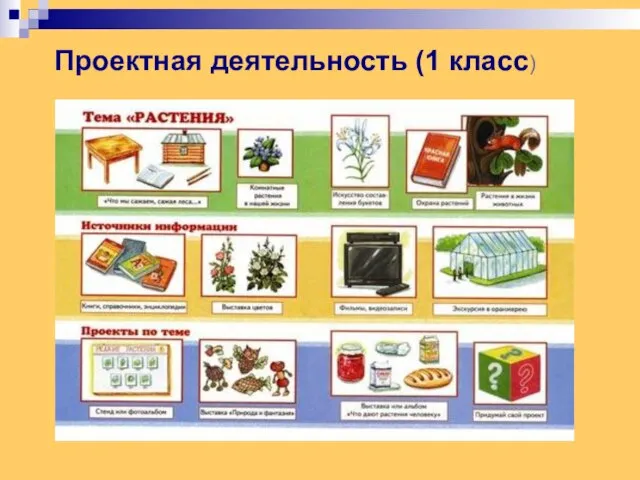 Проектная деятельность (1 класс)