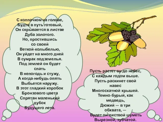 С колпачком на голове, Будто в путь готовый, Он скрывается в листве