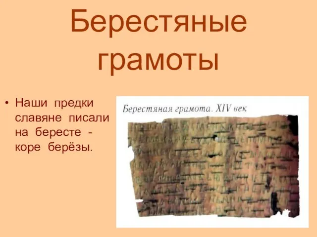 Берестяные грамоты Наши предки славяне писали на бересте - коре берёзы.