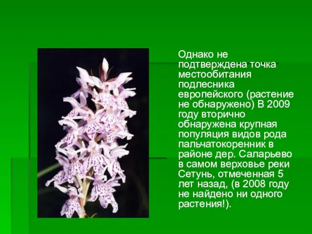 Однако не подтверждена точка местообитания подлесника европейского (растение не обнаружено) В 2009
