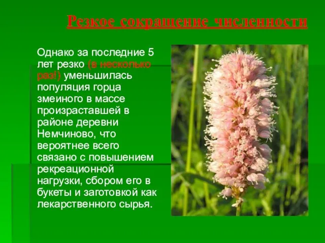 Резкое сокращение численности Однако за последние 5 лет резко (в несколько раз!)