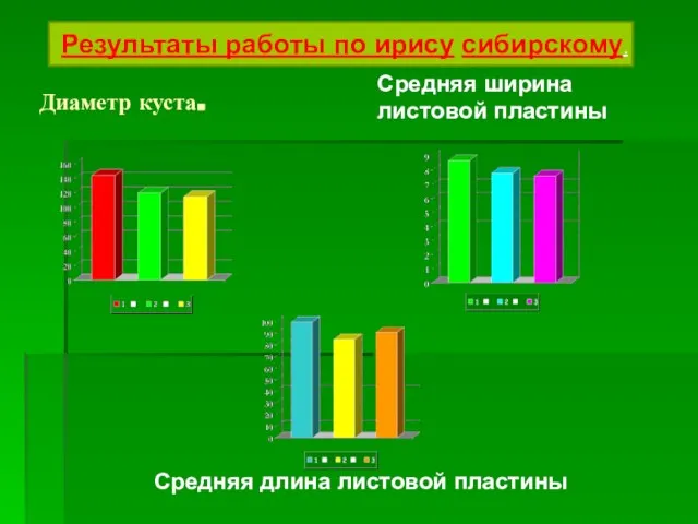 Диаметр куста. Средняя ширина листовой пластины Результаты работы по ирису сибирскому. Средняя длина листовой пластины