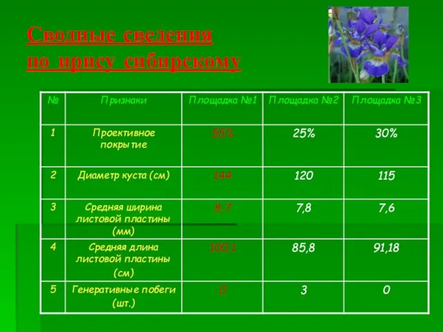 Сводные сведения по ирису сибирскому