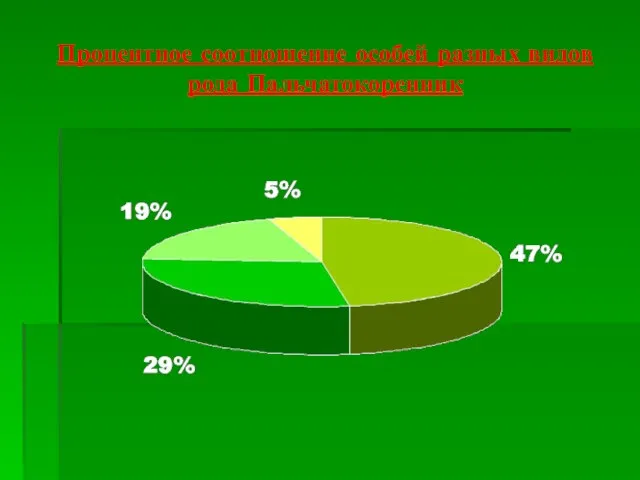Процентное соотношение особей разных видов рода Пальчатокоренник